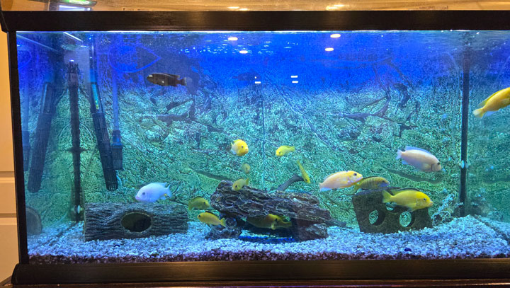 foto restaurant